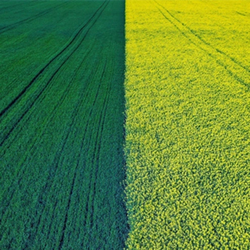 Web Excellence Awards