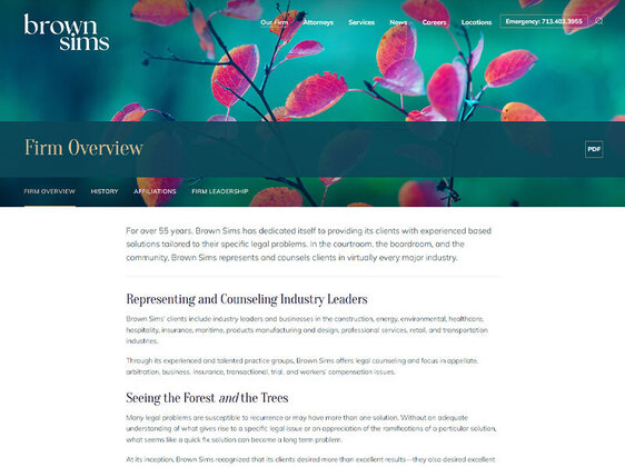 Screenshot of Portfolio